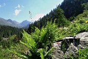 33 Da questo segnavia prendo a dx a vista per il Vallone (non segnato) 